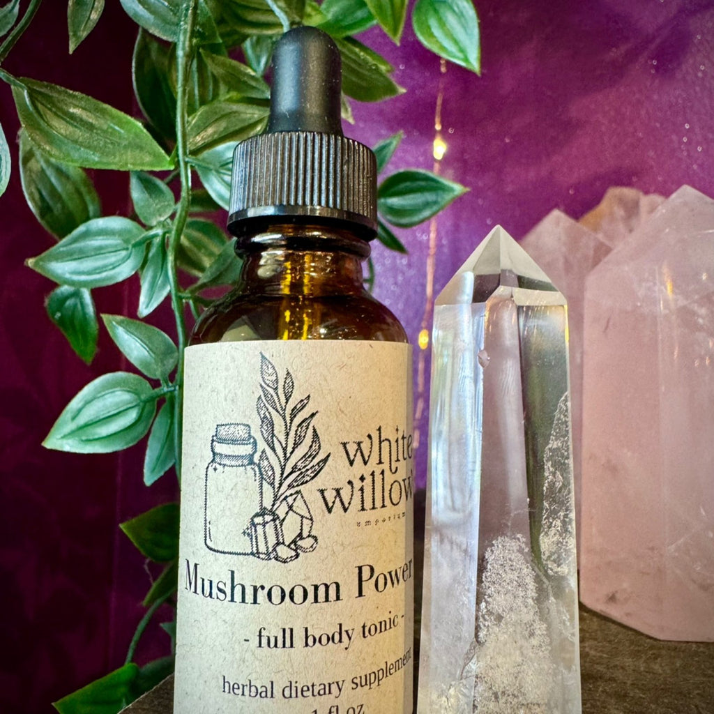 Mushroom Power Up Herbal Tonic
